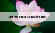 码支付是干嘛的（付款码是干嘛的）
