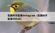 在国内不能用instagram（在国内不能用tiktok）