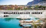微博app的英文名叫什么名字（微博的英文昵称）