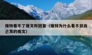 推特看不了推文和回复（推特为什么看不到自己发的推文）