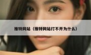 推特网站（推特网站打不开为什么）