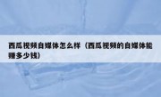 西瓜视频自媒体怎么样（西瓜视频的自媒体能赚多少钱）