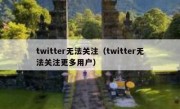 twitter无法关注（twitter无法关注更多用户）