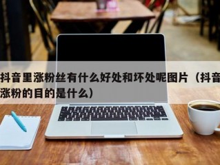 抖音里涨粉丝有什么好处和坏处呢图片（抖音涨粉的目的是什么）