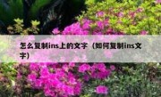 怎么复制ins上的文字（如何复制ins文字）