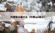 代理接口是什么（代理api接口）