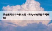 保定限号出行如何处罚（保定车辆限行号码规定）