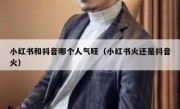 小红书和抖音哪个人气旺（小红书火还是抖音火）