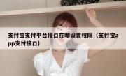 支付宝支付平台接口在哪设置权限（支付宝app支付接口）