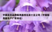 中国自主品牌服务器排名前十名公司（中国服务器生产厂家排名）