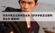 华为手机忘记密码怎么办（华为手机忘记密码怎么办 解密码）