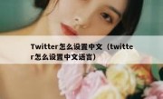 Twitter怎么设置中文（twitter怎么设置中文语言）