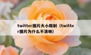 twitter图片大小限制（twitter图片为什么不清晰）