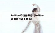 twitter咋注册账号（twitter注册账号调不出来）