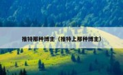 推特那种博主（推特上那种博主）
