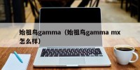 始祖鸟gamma（始祖鸟gamma mx怎么样）