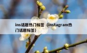 ins话题热门标签（instagram热门话题标签）