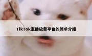 TikTok涨播放量平台的简单介绍