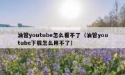 油管youtube怎么看不了（油管youtube下载怎么用不了）