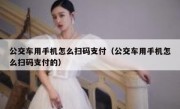 公交车用手机怎么扫码支付（公交车用手机怎么扫码支付的）