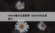check是什么意思呀（Check什么意思?）