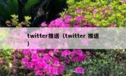 twitter推送（twitter 推送）