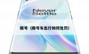 限号（限号车出行如何处罚）