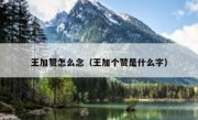 王加赞怎么念（王加个赞是什么字）
