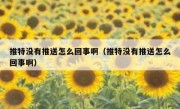 推特没有推送怎么回事啊（推特没有推送怎么回事啊）