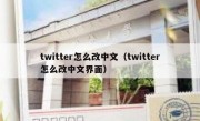 twitter怎么改中文（twitter怎么改中文界面）