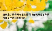杭州忘了限号开车怎么处罚（在杭州忘了车限号开了一天罚多少钱）