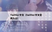 Twitter中文（twitter中文官网入口）