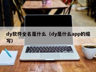 dy软件全名是什么（dy是什么app的缩写）