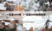 一元涨1000粉（一元涨1000粉的软件）