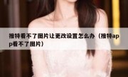 推特看不了图片让更改设置怎么办（推特app看不了图片）