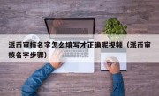 派币审核名字怎么填写才正确呢视频（派币审核名字步骤）