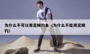 为什么不可以用泥鳅钓鱼（为什么不能用泥鳅钓）
