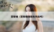 赏帮赚（赏帮赚赚钱有风险吗）