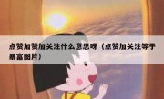 点赞加赞加关注什么意思呀（点赞加关注等于暴富图片）