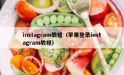 instagram教程（苹果登录instagram教程）