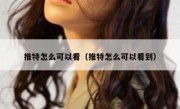 推特怎么可以看（推特怎么可以看到）