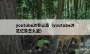 youtube浏览记录（youtube浏览记录怎么查）
