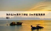 为什么ins发不了评论（ins不能发表评论）