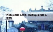 代理api是什么意思（代理api是指什么意思）