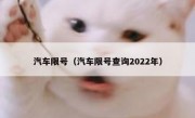 汽车限号（汽车限号查询2022年）