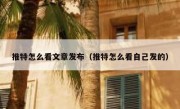 推特怎么看文章发布（推特怎么看自己发的）