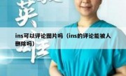 ins可以评论图片吗（ins的评论能被人删除吗）