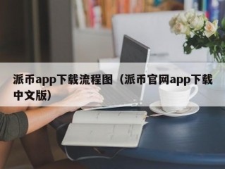 派币app下载流程图（派币官网app下载中文版）
