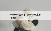 twitter上不了（twitter上不了网）