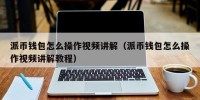 派币钱包怎么操作视频讲解（派币钱包怎么操作视频讲解教程）